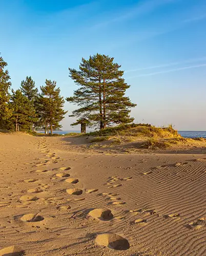Курорты